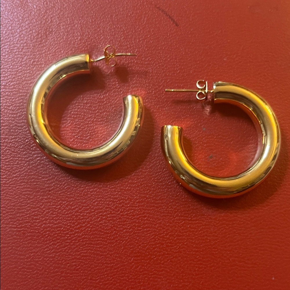 Elegant Gold Hoop Earrings